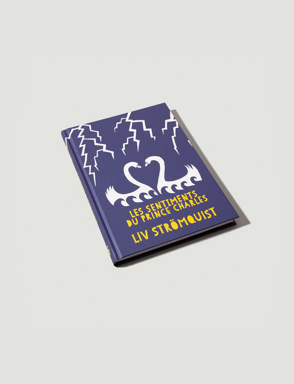 Les sentiments du prince Charles - Les sentiments du prince Charles, comic book by Liv Strömquist